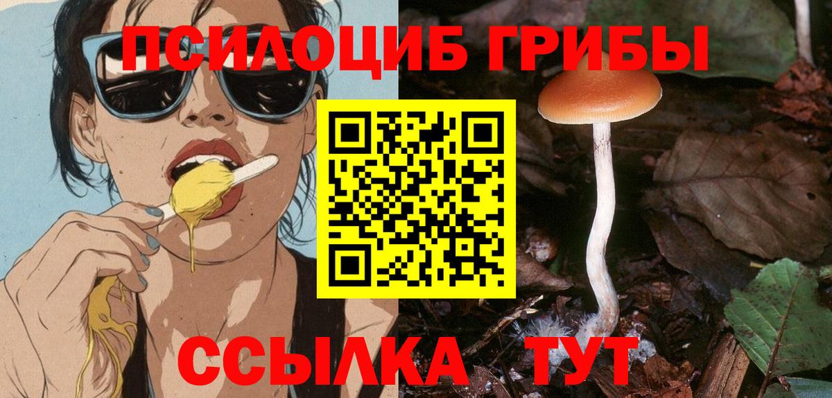 Псилоцибиновые грибы мицелий  Вход с VPN  Тара  Галлюциногенные грибы Psilocybine cubensis 